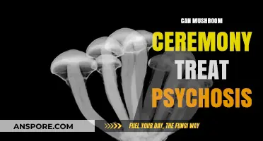 Exploring Mushroom Ceremonies as a Potential Treatment for Psychosis