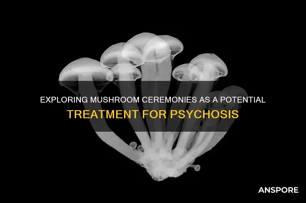 can mushroom ceremony treat psychosis