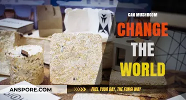 Mushrooms: Unlocking Earth-Changing Potential in Sustainability and Innovation