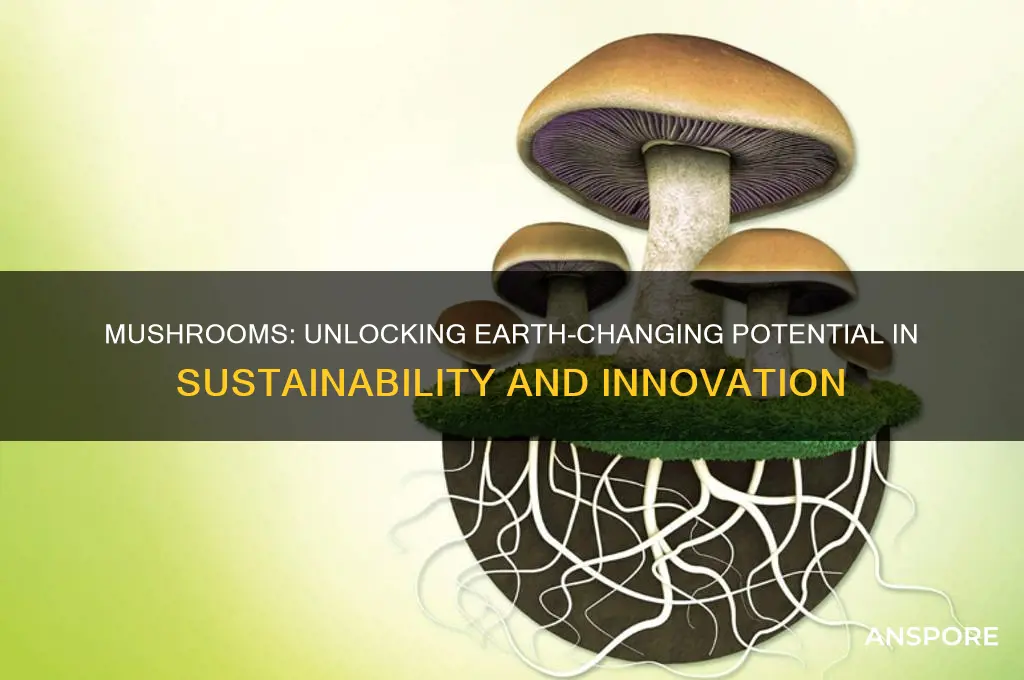 can mushroom change the world
