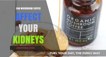 Mushroom Coffee and Kidney Health: What You Need to Know
