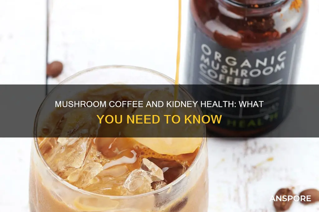 can mushroom coffee affect your kidneys