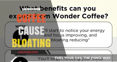 Mushroom Coffee and Bloating: What You Need to Know