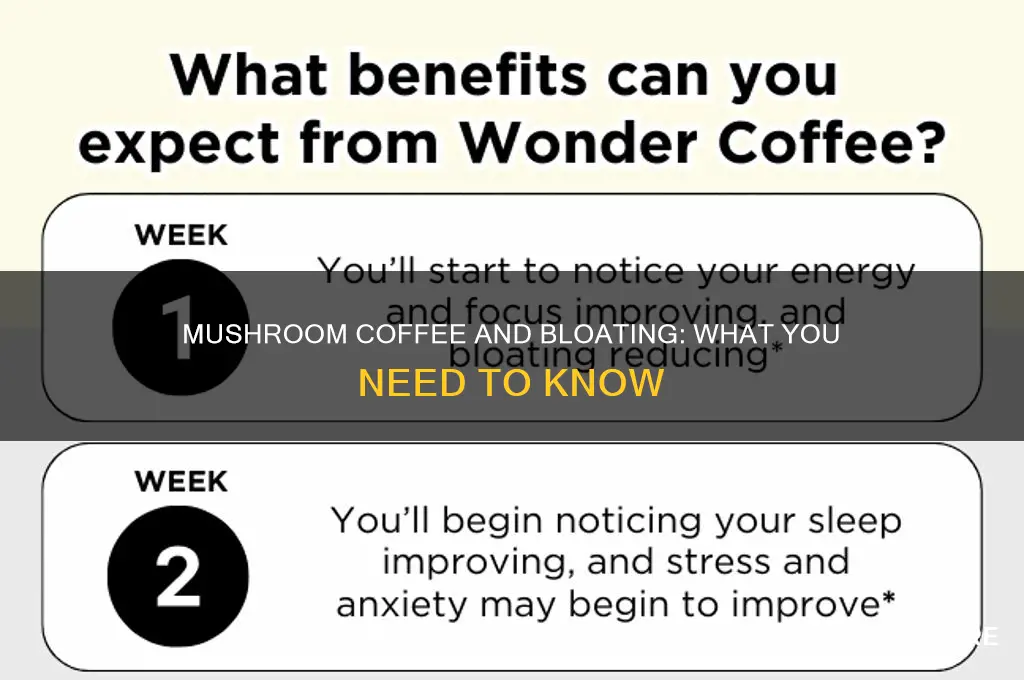 can mushroom coffee cause bloating
