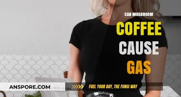 Mushroom Coffee and Gas: Unraveling the Digestive Effects of This Trend