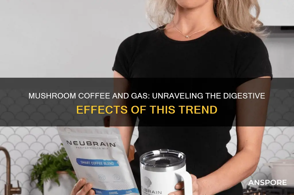 can mushroom coffee cause gas