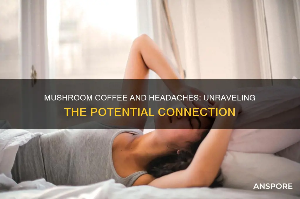 can mushroom coffee cause headaches