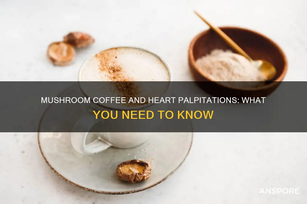 can mushroom coffee cause heart palpitations