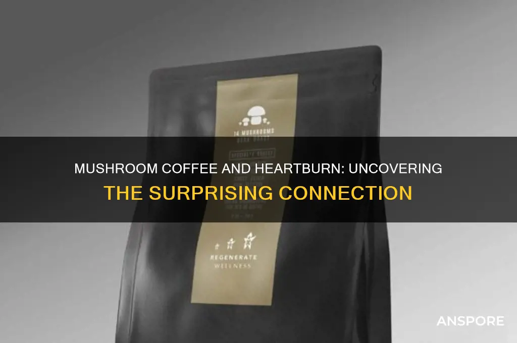 can mushroom coffee cause heartburn