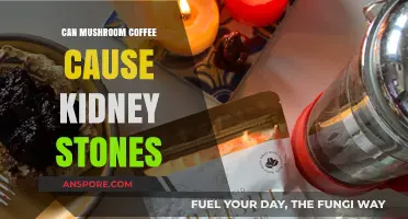 Mushroom Coffee and Kidney Stones: Uncovering the Potential Risks