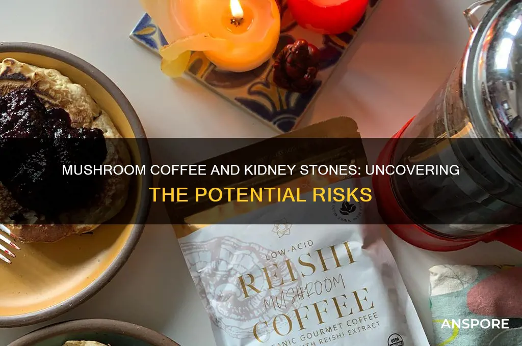 can mushroom coffee cause kidney stones