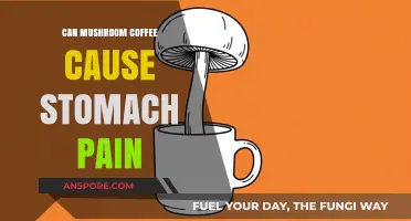 Mushroom Coffee and Stomach Pain: What You Need to Know