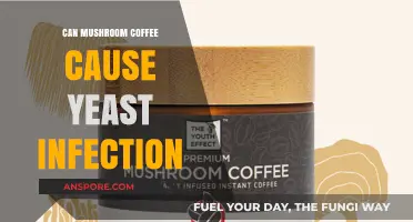 Mushroom Coffee and Yeast Infections: Unraveling the Connection and Risks