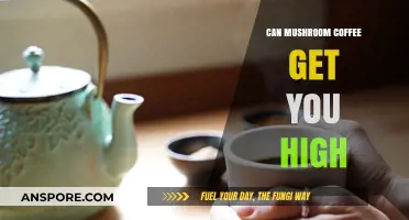 Mushroom Coffee Buzz: Does It Really Get You High?