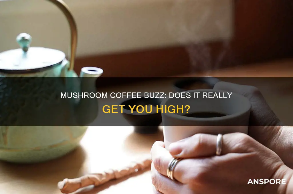 can mushroom coffee get you high