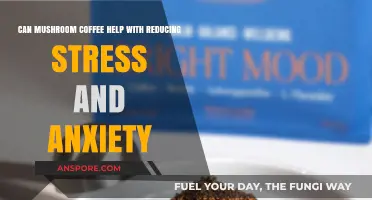 Mushroom Coffee: A Natural Remedy for Stress and Anxiety?