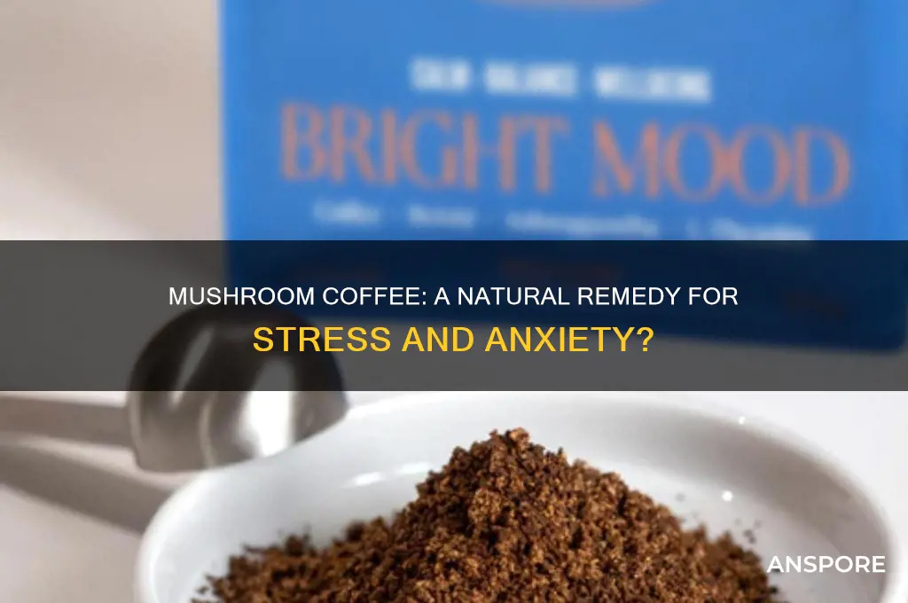 can mushroom coffee help with reducing stress and anxiety