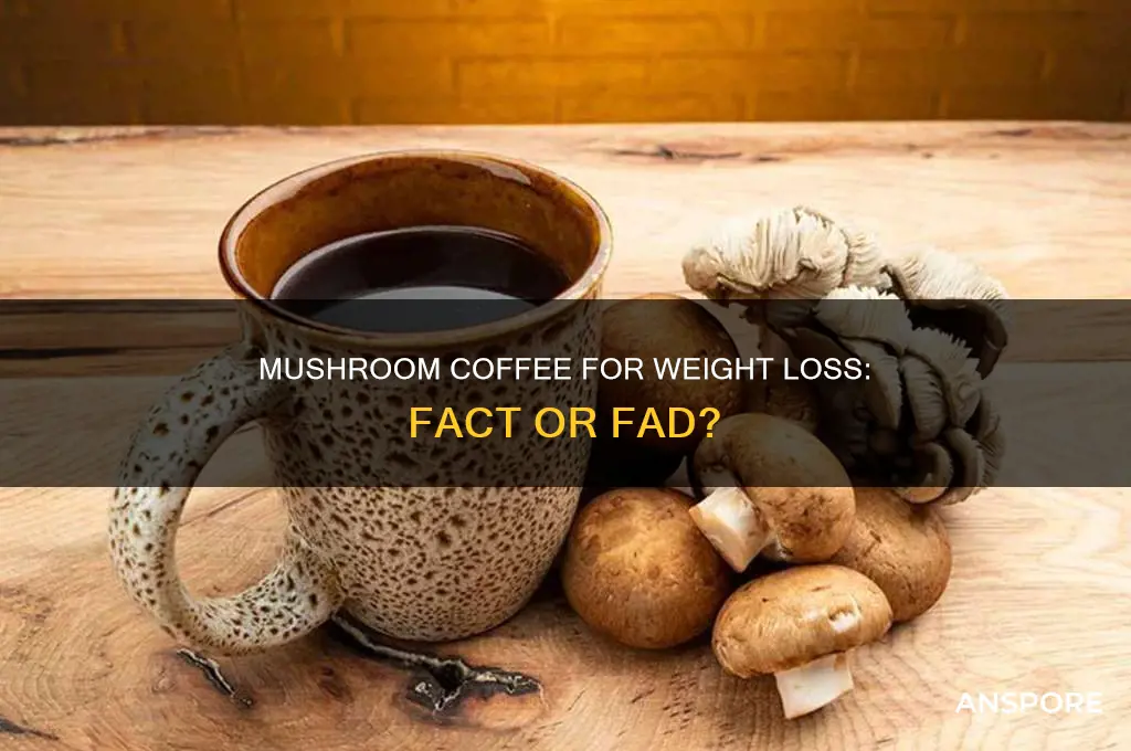 can mushroom coffee help with weight loss