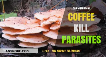 Mushroom Coffee and Parasites: Unveiling the Truth Behind the Brew