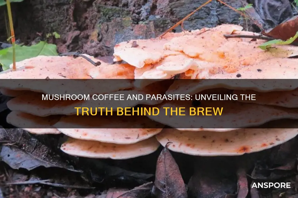 can mushroom coffee kill parasites