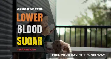 Mushroom Coffee's Potential to Lower Blood Sugar Levels Explained