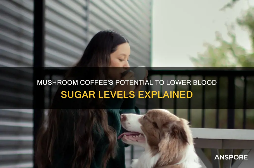 can mushroom coffee lower blood sugar