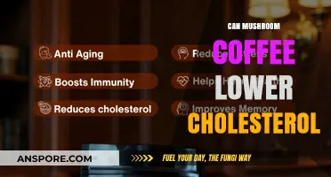 Mushroom Coffee and Cholesterol: Unveiling the Heart-Healthy Benefits