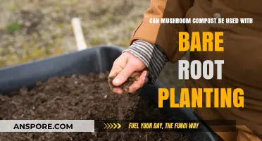 Using Mushroom Compost for Bare Root Planting: Benefits and Tips