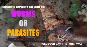 Mushroom Compost Risks: Worms, Parasites, and Garden Safety Explained