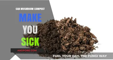 Mushroom Compost Safety: Can It Cause Illness or Health Risks?