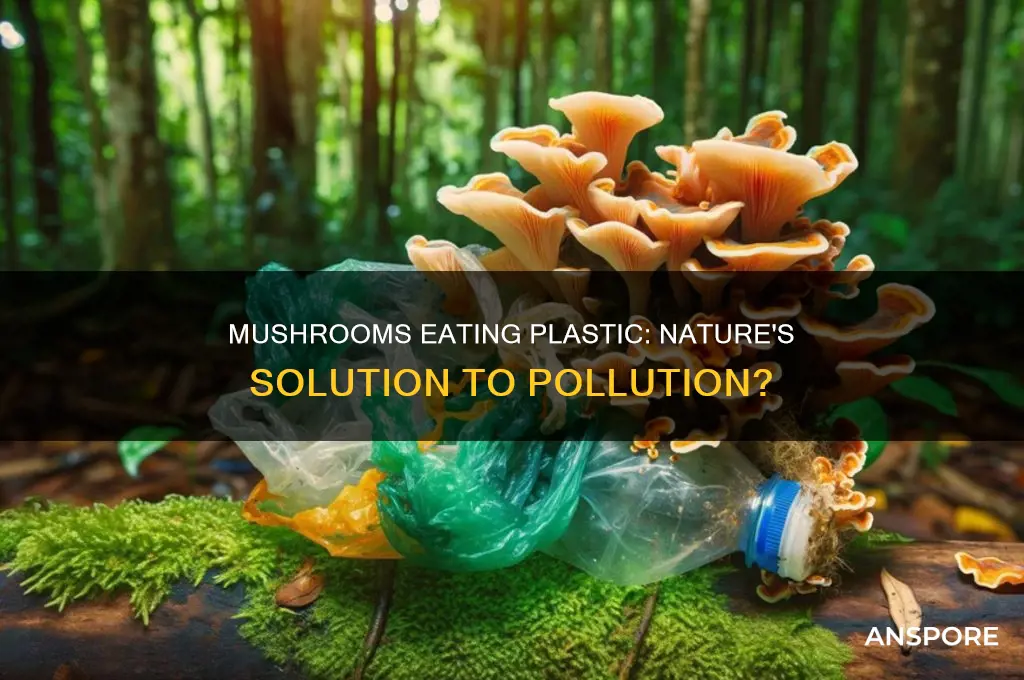 can mushroom consume plastic