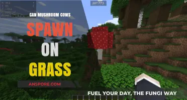 Can Mushroom Cows Spawn on Grass? Exploring Minecraft's Unique Mob Rules