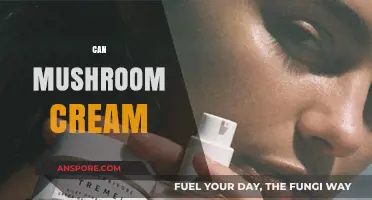 Discover the Benefits and Uses of Mushroom Cream in Skincare