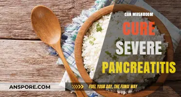 Exploring Mushroom's Potential to Treat Severe Pancreatitis: Fact or Fiction?