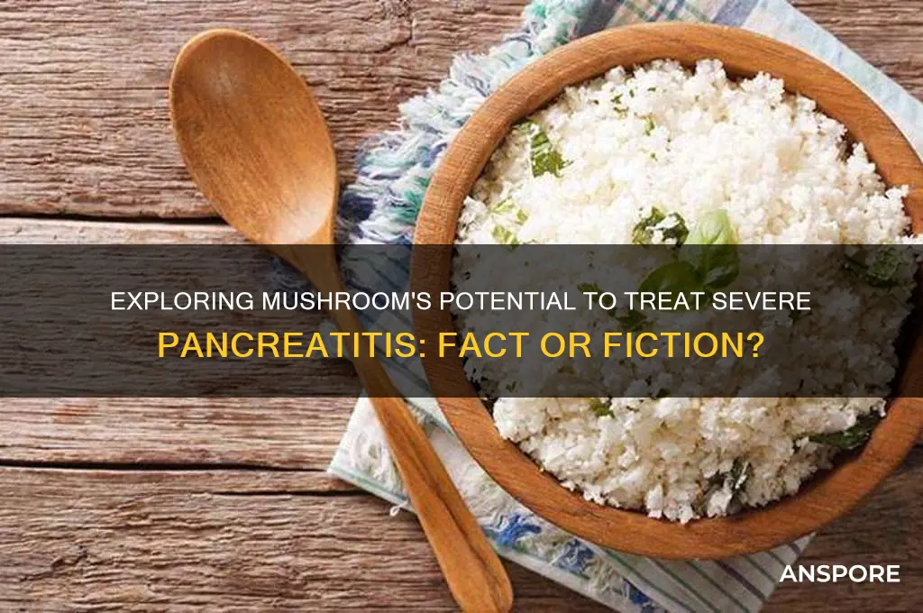can mushroom cure severe pancreatitis