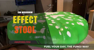 Mushrooms and Digestion: How They Impact Your Stool Consistency