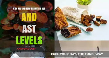Mushrooms and Liver Health: Do They Elevate ALT and AST Levels?