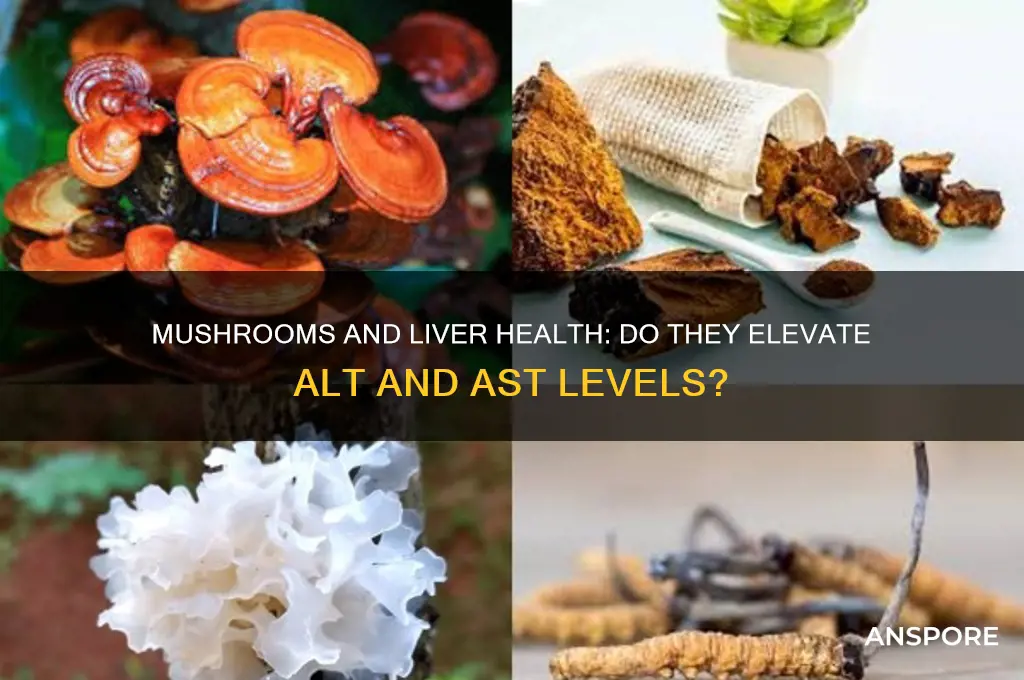 can mushroom elevated alt and ast levels