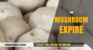 Do Mushrooms Go Bad? Shelf Life and Storage Tips Explained