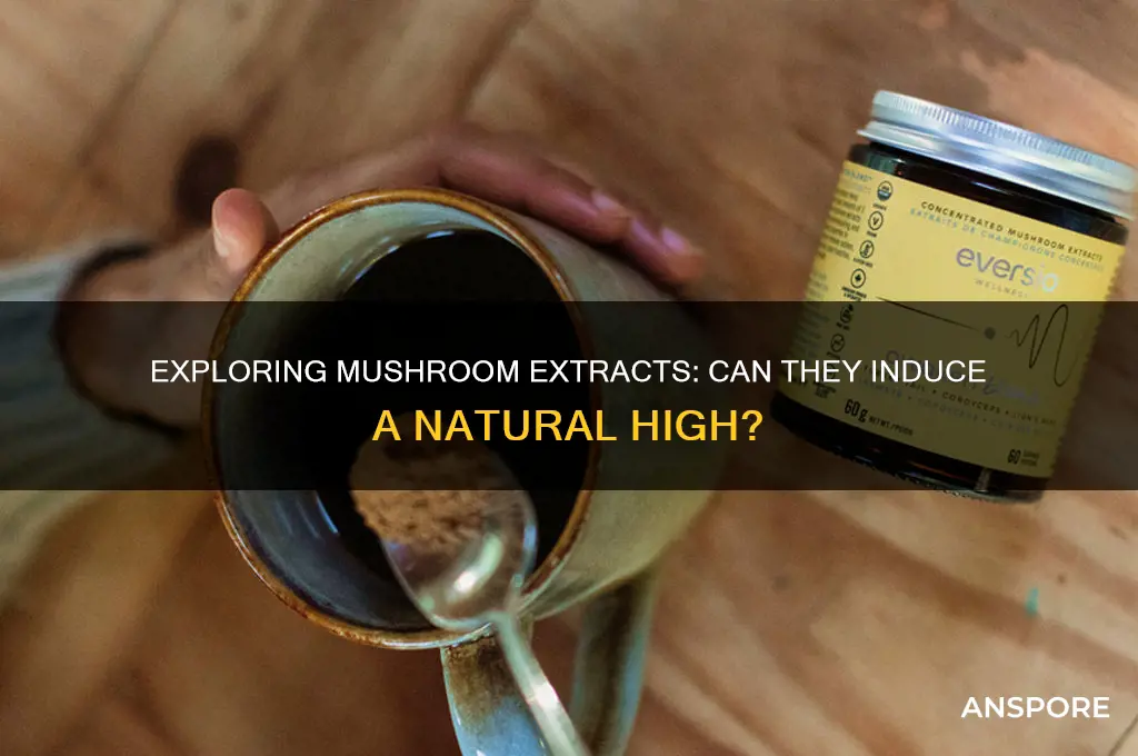 can mushroom extract get you high