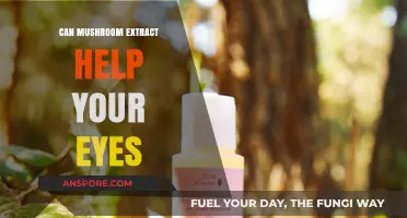Mushroom Extract Benefits: Can It Improve Eye Health Naturally?