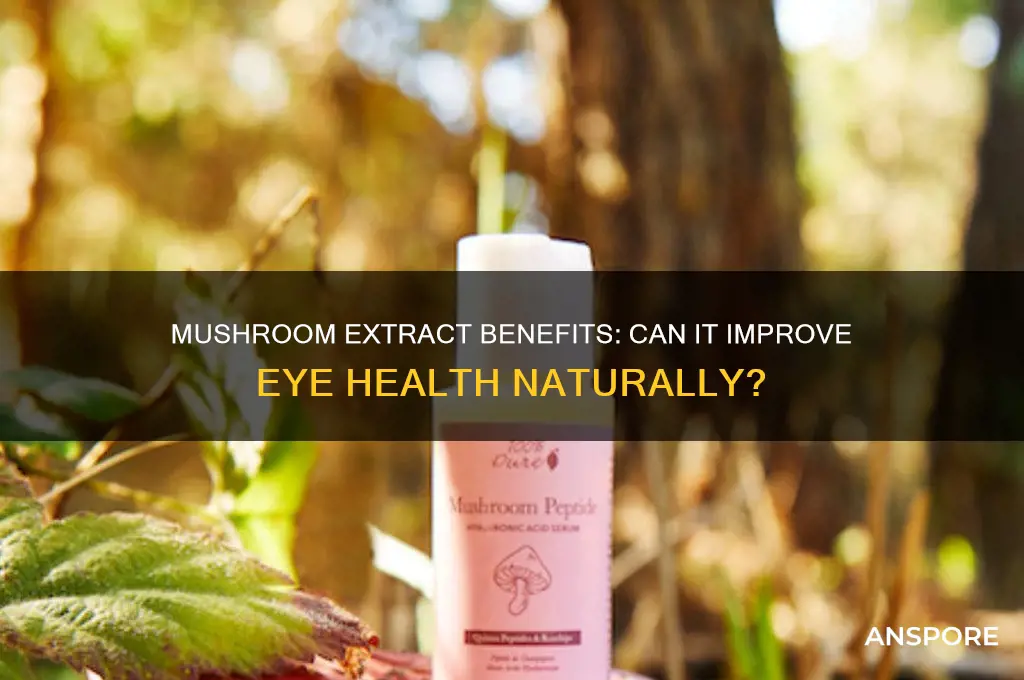 can mushroom extract help your eyes