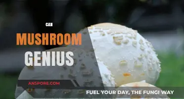 Unlocking Mushroom Genius: Exploring Nature's Intelligent Fungal Wonders