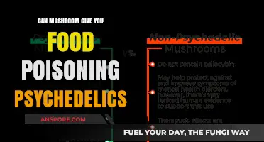 Psychedelic Mushrooms: Risks of Food Poisoning and Safe Consumption Tips