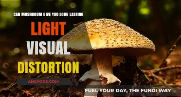 Mushroom-Induced Visual Distortion: Long-Lasting Effects and Reality