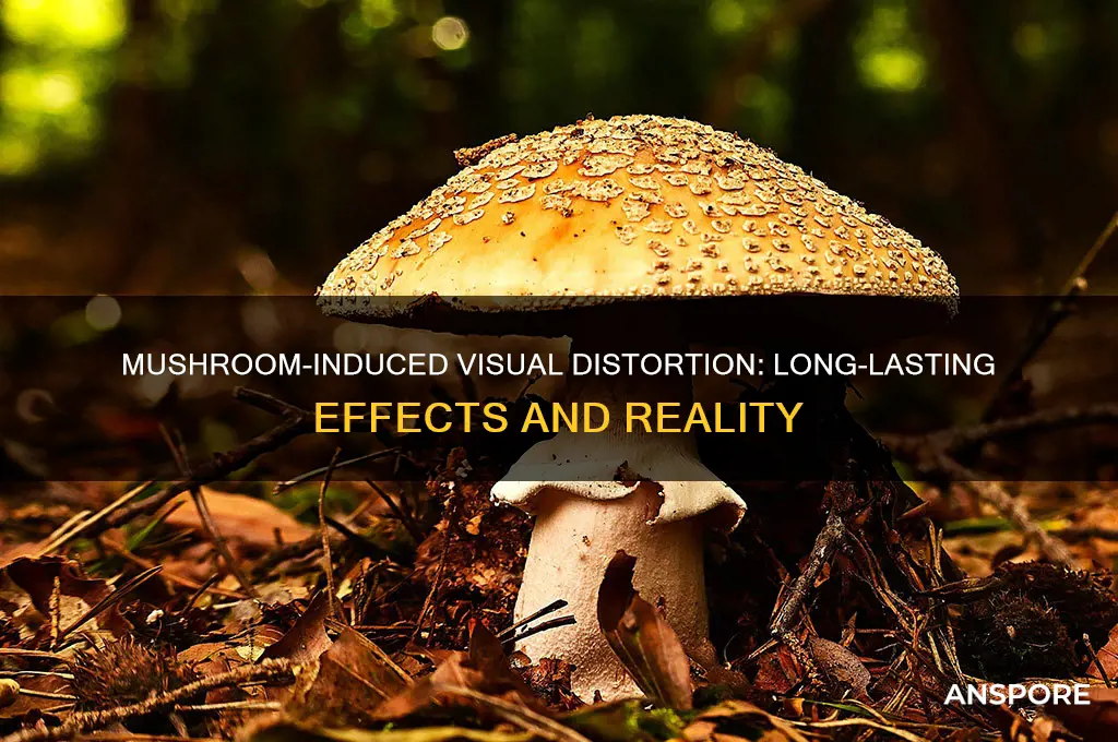 can mushroom give you long lasting light visual distortion