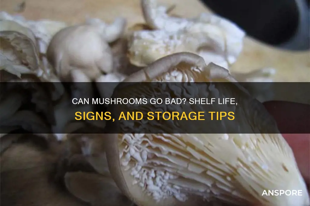 can mushroom go bad