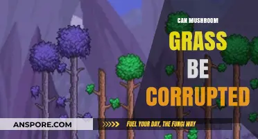 Can Mushroom Grass Be Corrupted? Exploring Its Resilience and Vulnerabilities
