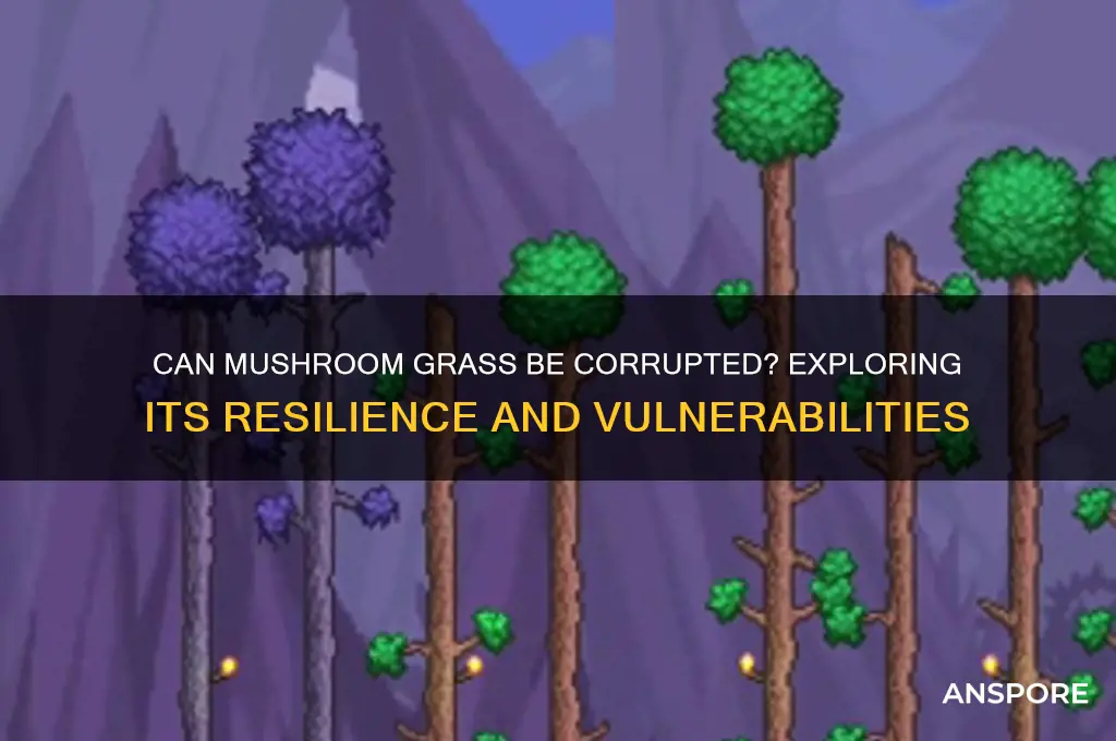 can mushroom grass be corrupted
