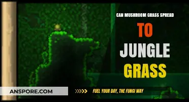Can Mushroom Grass Spread to Jungle Grass? Exploring Terraria Biomes